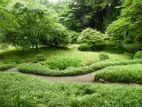 日光田母沢御用邸記念公園の写真・動画_image_389222