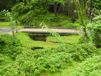 日光山輪王寺 常行堂の写真・動画_image_389229