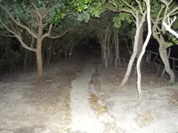 燈明堂跡の写真・動画_image_38967