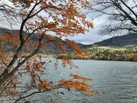 湯ノ湖の写真・動画_image_389833