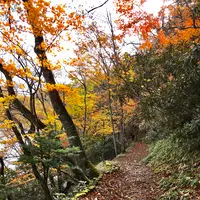 湯ノ湖の写真・動画_image_389836