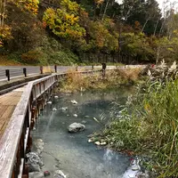 湯ノ湖の写真・動画_image_389840
