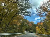 いろは坂の写真・動画_image_389851