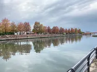 岩瀬カナル会館の写真・動画_image_389977