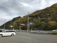 いろは坂の写真・動画_image_390187