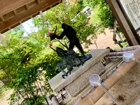 青葉神社の写真・動画_image_390232