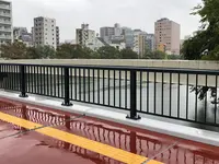 上柳橋の写真・動画_image_390303