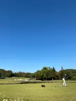 吉井カントリークラブの写真・動画_image_390366