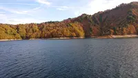 奥只見湖遊覧船の写真・動画_image_390469