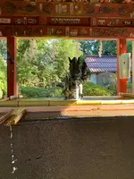 北口本宮冨士浅間神社の写真・動画_image_390524