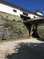 彦根城の写真・動画_image_390638