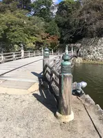 彦根城の写真・動画_image_390641