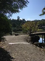 玄宮園の写真・動画_image_390649