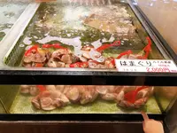 海ほたるパーキングエリアの写真・動画_image_391029
