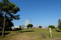 マザー牧場の写真・動画_image_391063