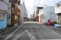 勝浦朝市の写真・動画_image_391077