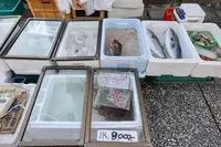 勝浦朝市の写真・動画_image_391078