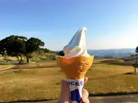 マザー牧場の写真・動画_image_391093