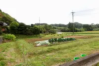 一棟貸し古民家の宿【まるがやつ-MARUGAYATSU】の写真・動画_image_391106