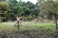 一棟貸し古民家の宿【まるがやつ-MARUGAYATSU】の写真・動画_image_391109