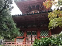 三瀧寺多宝塔の写真・動画_image_391290
