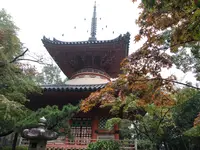 三瀧寺多宝塔の写真・動画_image_391291
