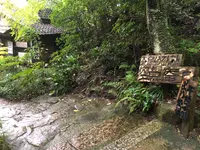 三瀧寺の写真・動画_image_391293