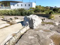 道の駅 鴨川オーシャンパークの写真・動画_image_391626