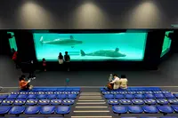 鴨川シーワールドの写真・動画_image_391688