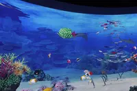 鴨川シーワールドの写真・動画_image_391691