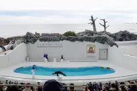 鴨川シーワールドの写真・動画_image_391693