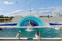 鴨川シーワールドの写真・動画_image_391697