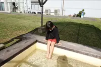 道の駅 鴨川オーシャンパークの写真・動画_image_391713
