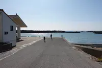 太夫崎漁港の写真・動画_image_391714