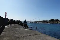 太夫崎漁港の写真・動画_image_391719
