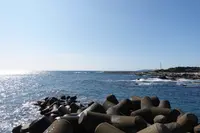 太夫崎漁港の写真・動画_image_391720