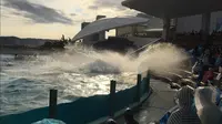 鴨川シーワールドの写真・動画_image_391948
