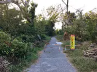 沖ノ島公園の写真・動画_image_391959