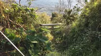 沖ノ島公園の写真・動画_image_391961