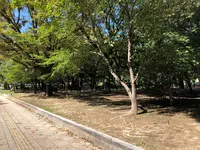 平和の鐘の写真・動画_image_392288