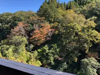 あまてらすの隠れカフェの写真・動画_image_392368