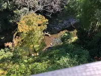 あまてらすの隠れカフェの写真・動画_image_392370
