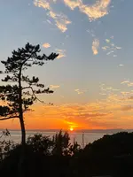 神奈川県立近代美術館 葉山の写真・動画_image_392415
