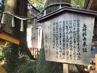 高千穂神社の写真・動画_image_392461
