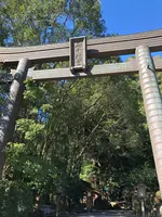 高千穂神社の写真・動画_image_392462