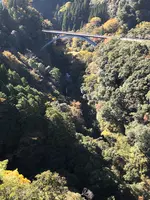 道の駅高千穂の写真・動画_image_392473