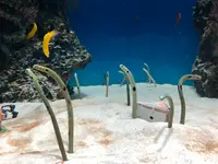 マリホ水族館の写真・動画_image_392590