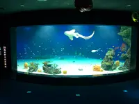 マリホ水族館の写真・動画_image_392591