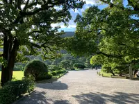 栗林公園の写真・動画_image_392800