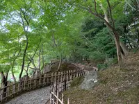 栗林公園の写真・動画_image_392809